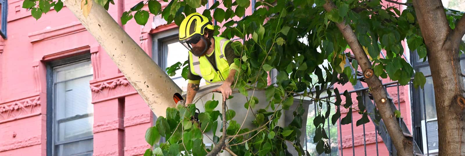 Storm cleanup service